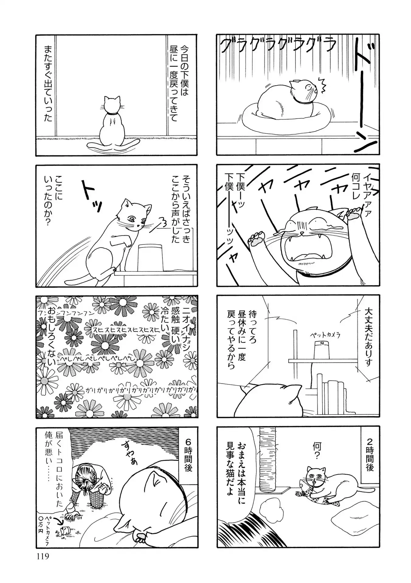 P53
