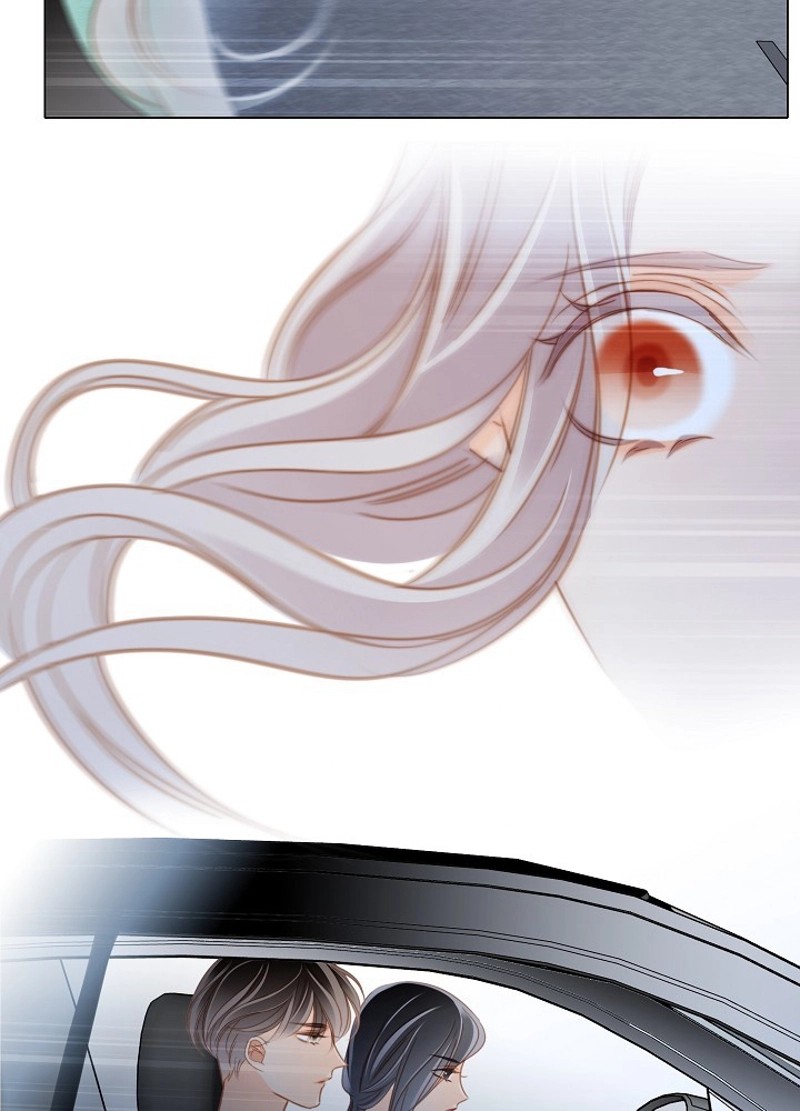 P53