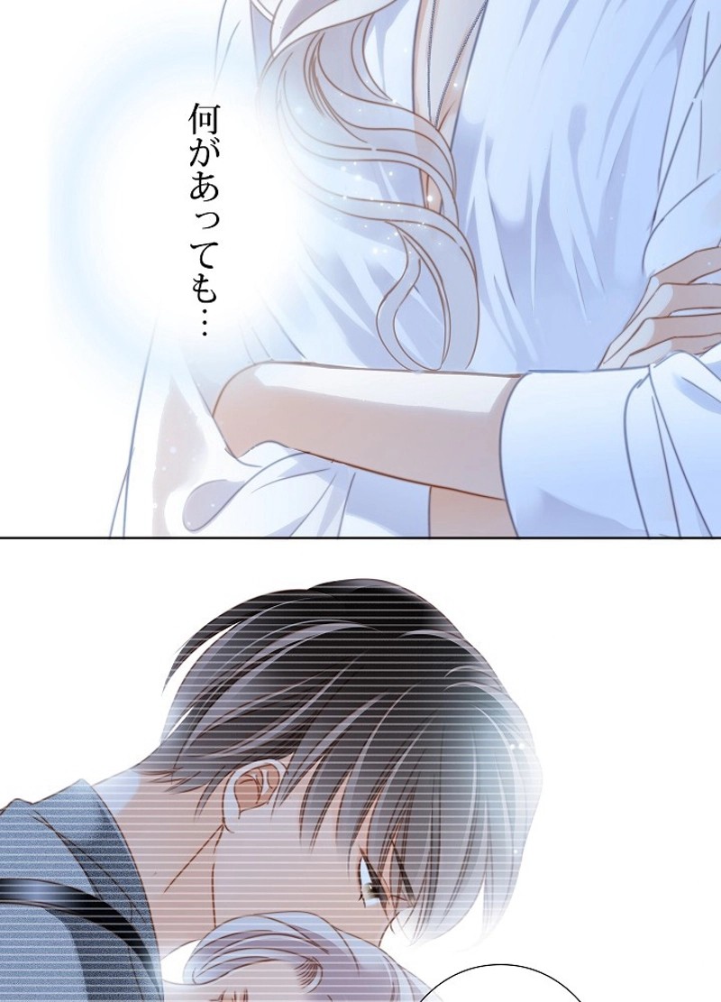 P53