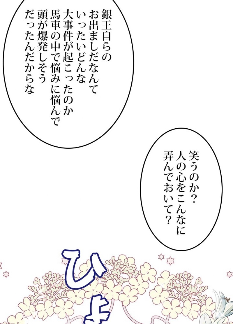 P66