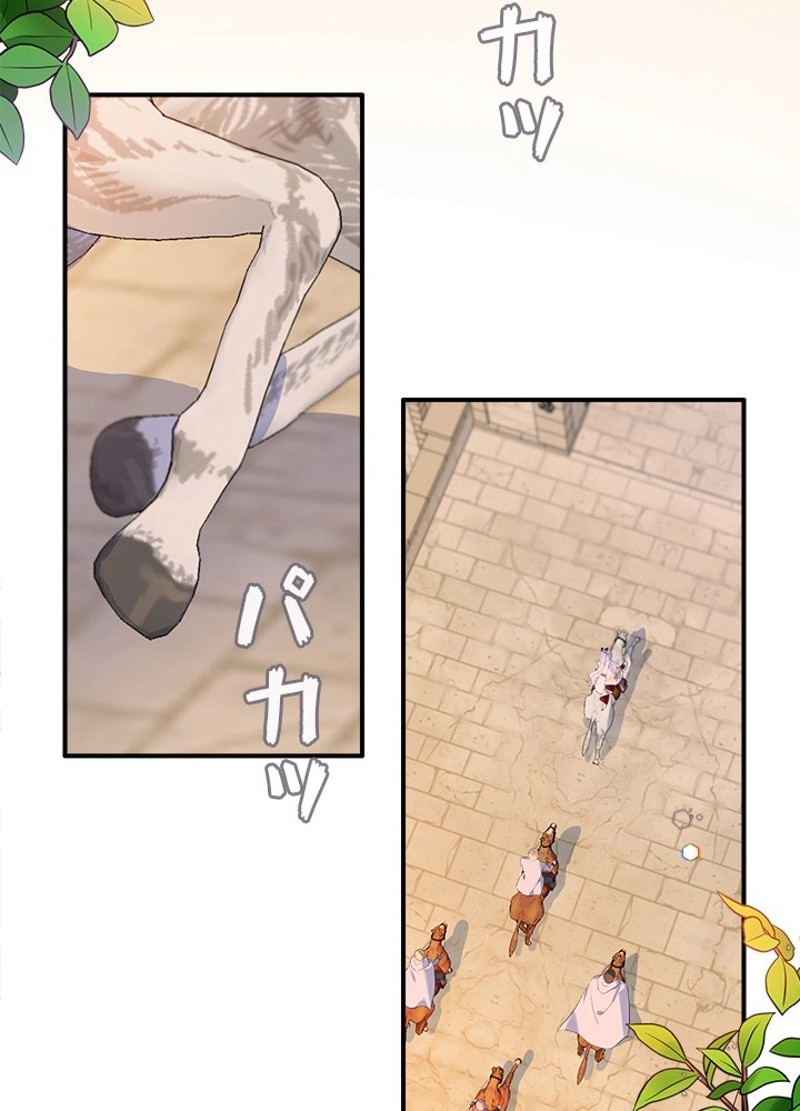 P63