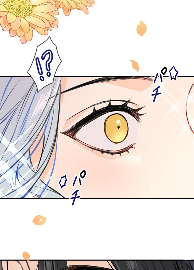 P58