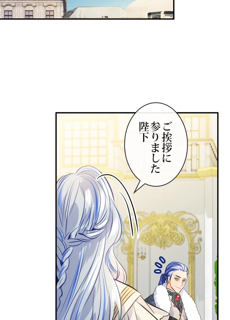 P64