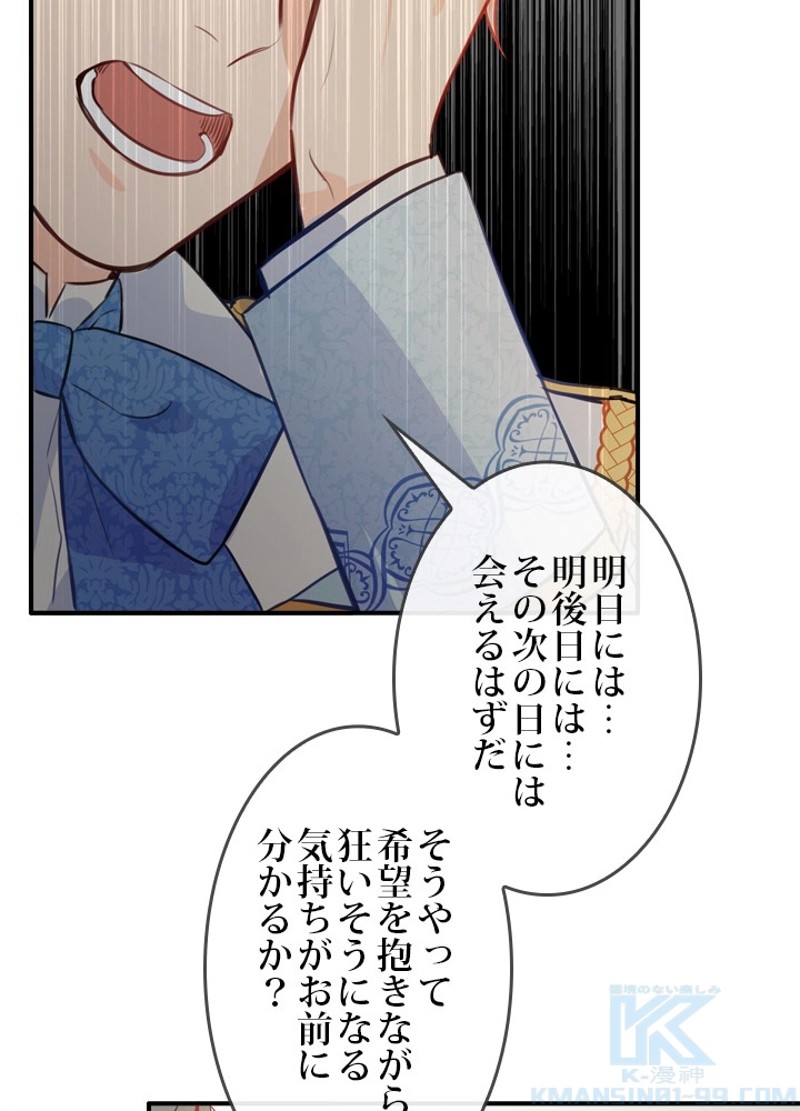 P53