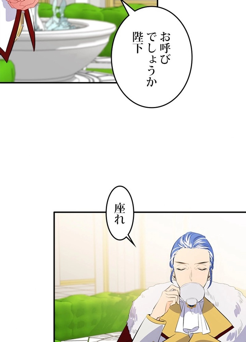P66
