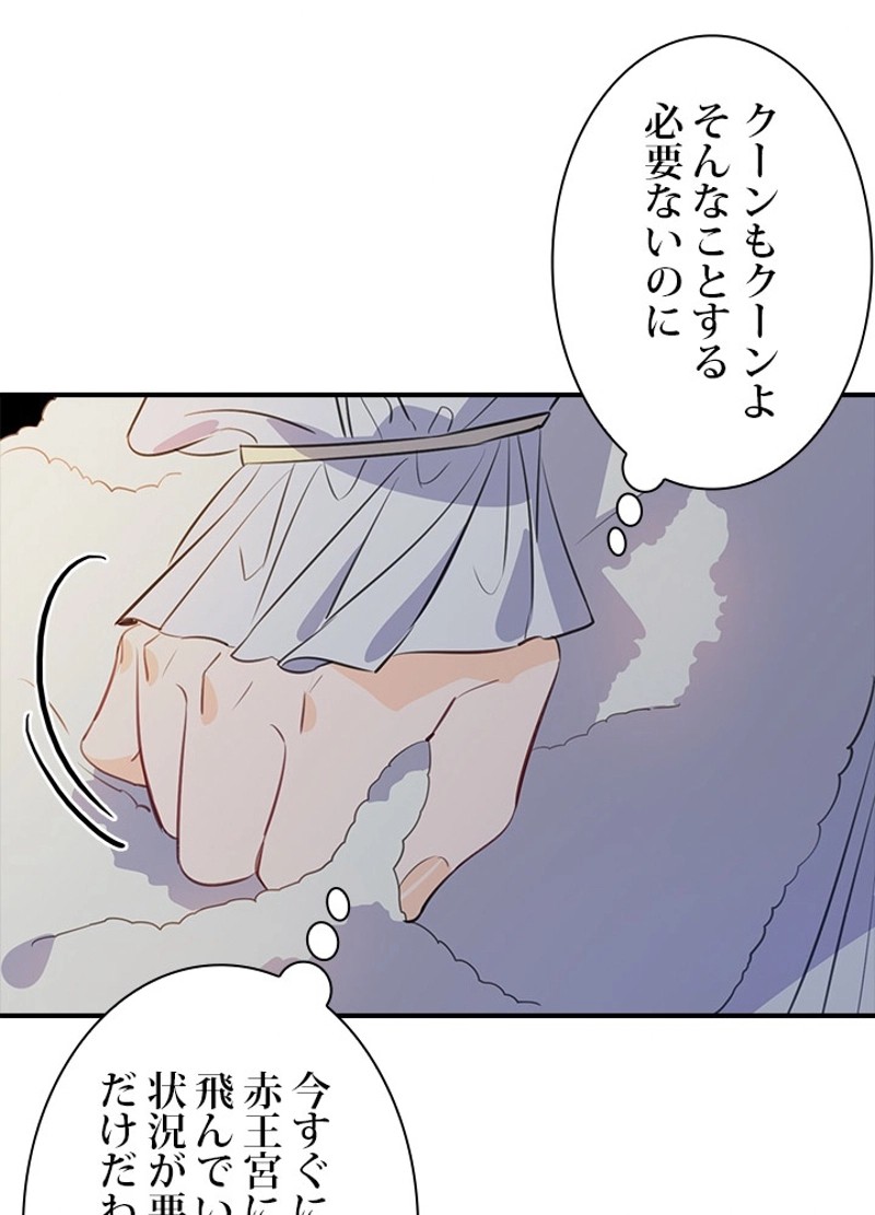 P61