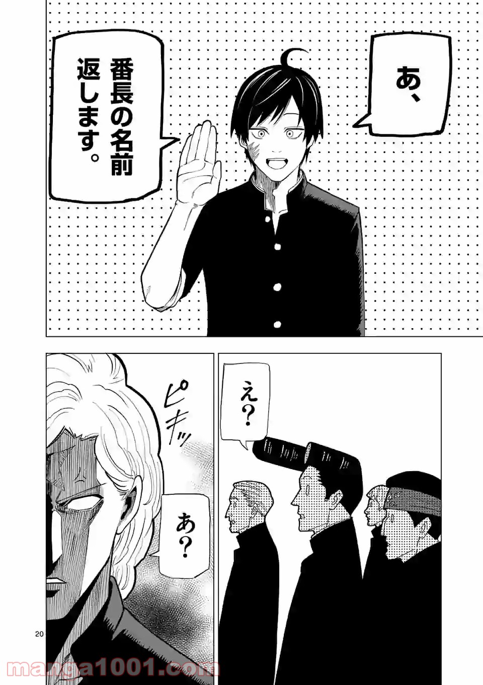 P20
