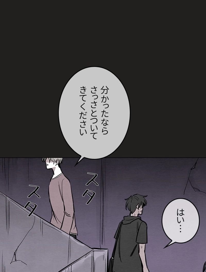 P56