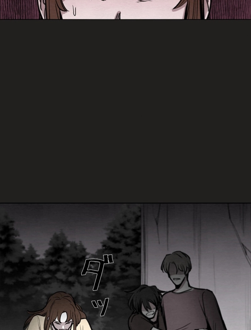 P66