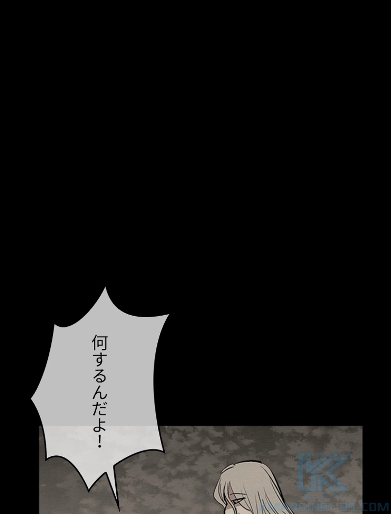 P61