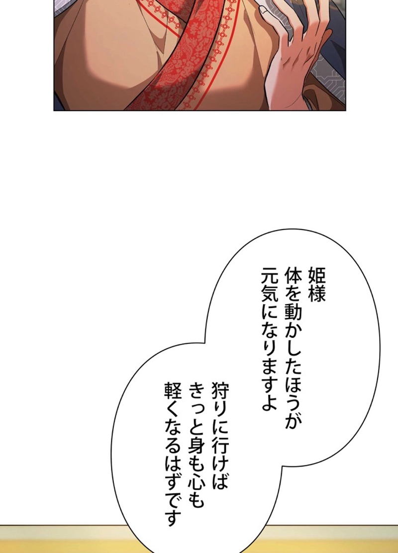 P66