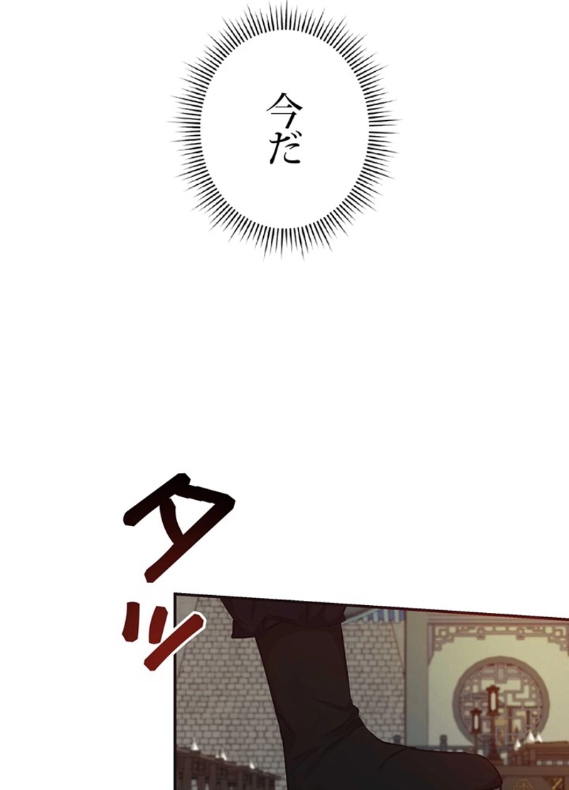 P66