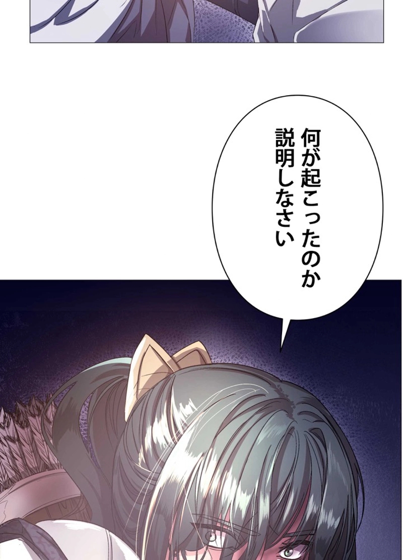 P66
