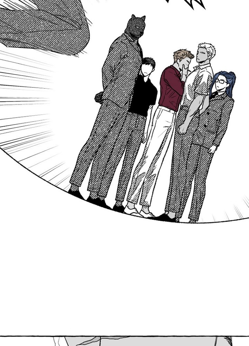P66