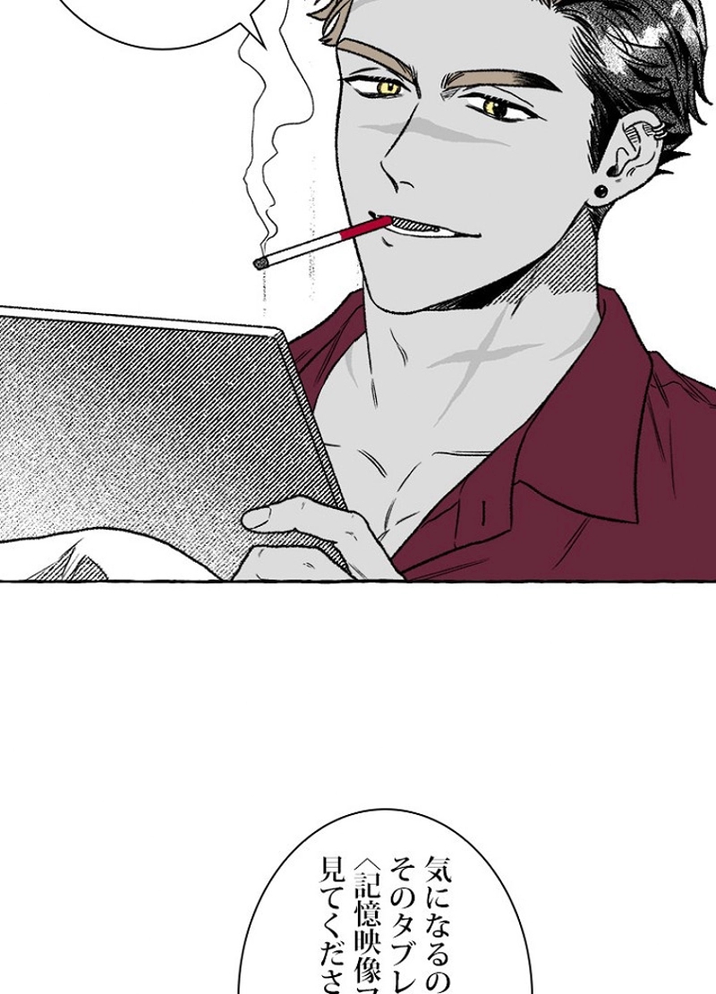 P63