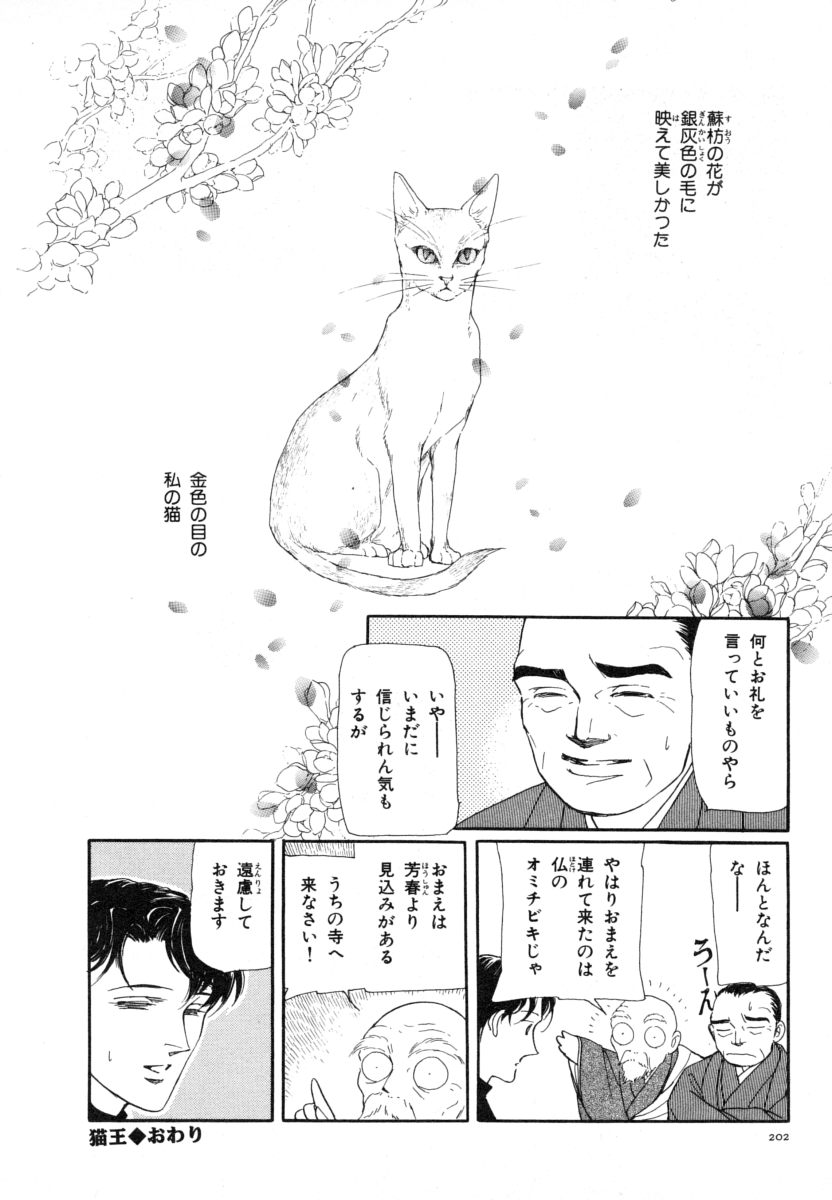 P64