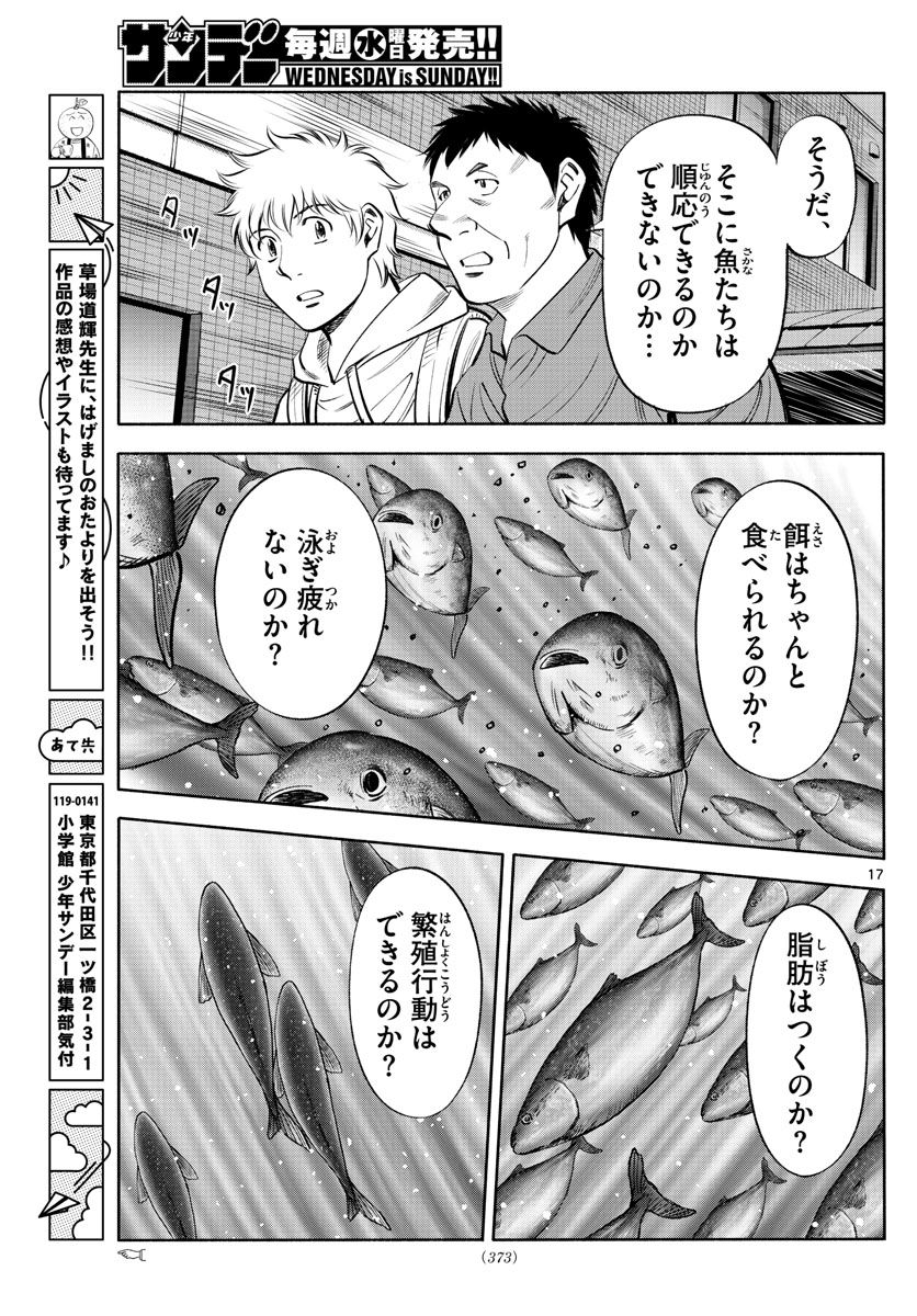 P17