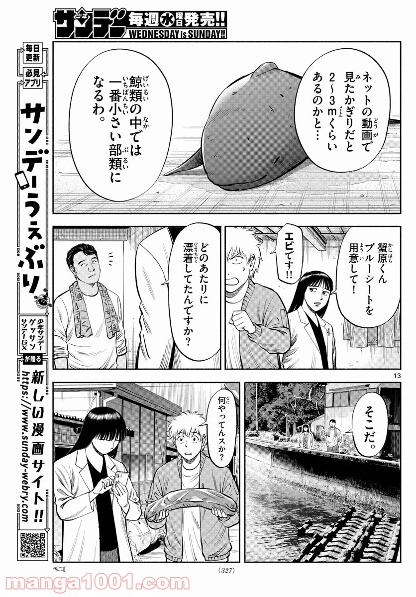P13