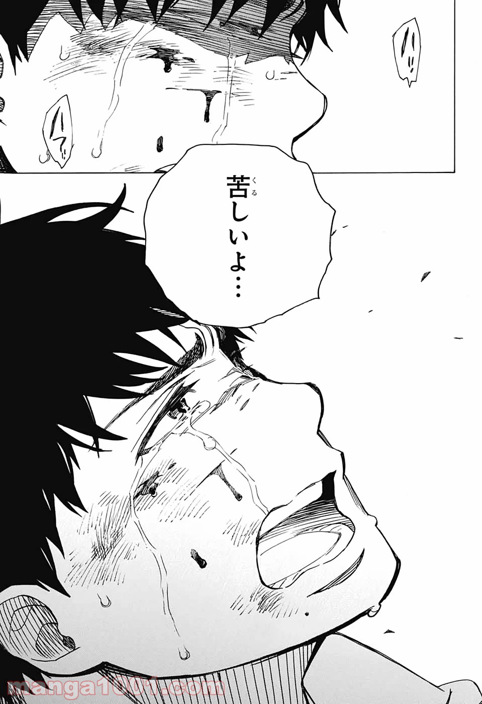 P63