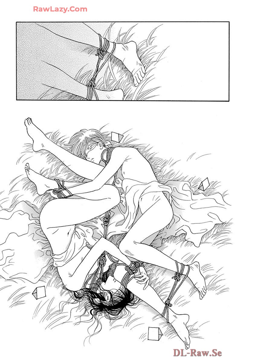 P61