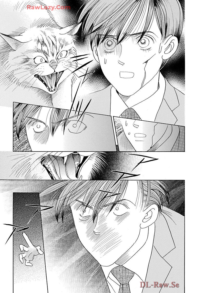 P78
