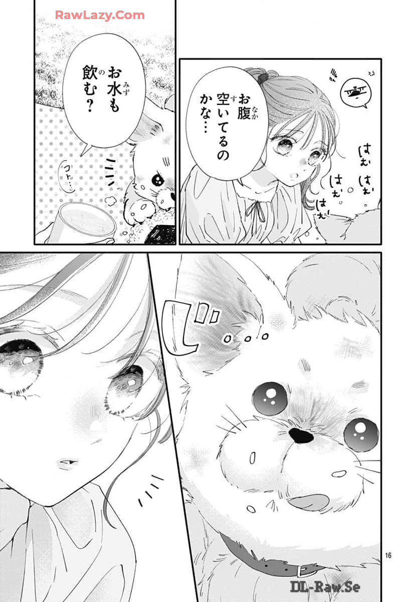 P16