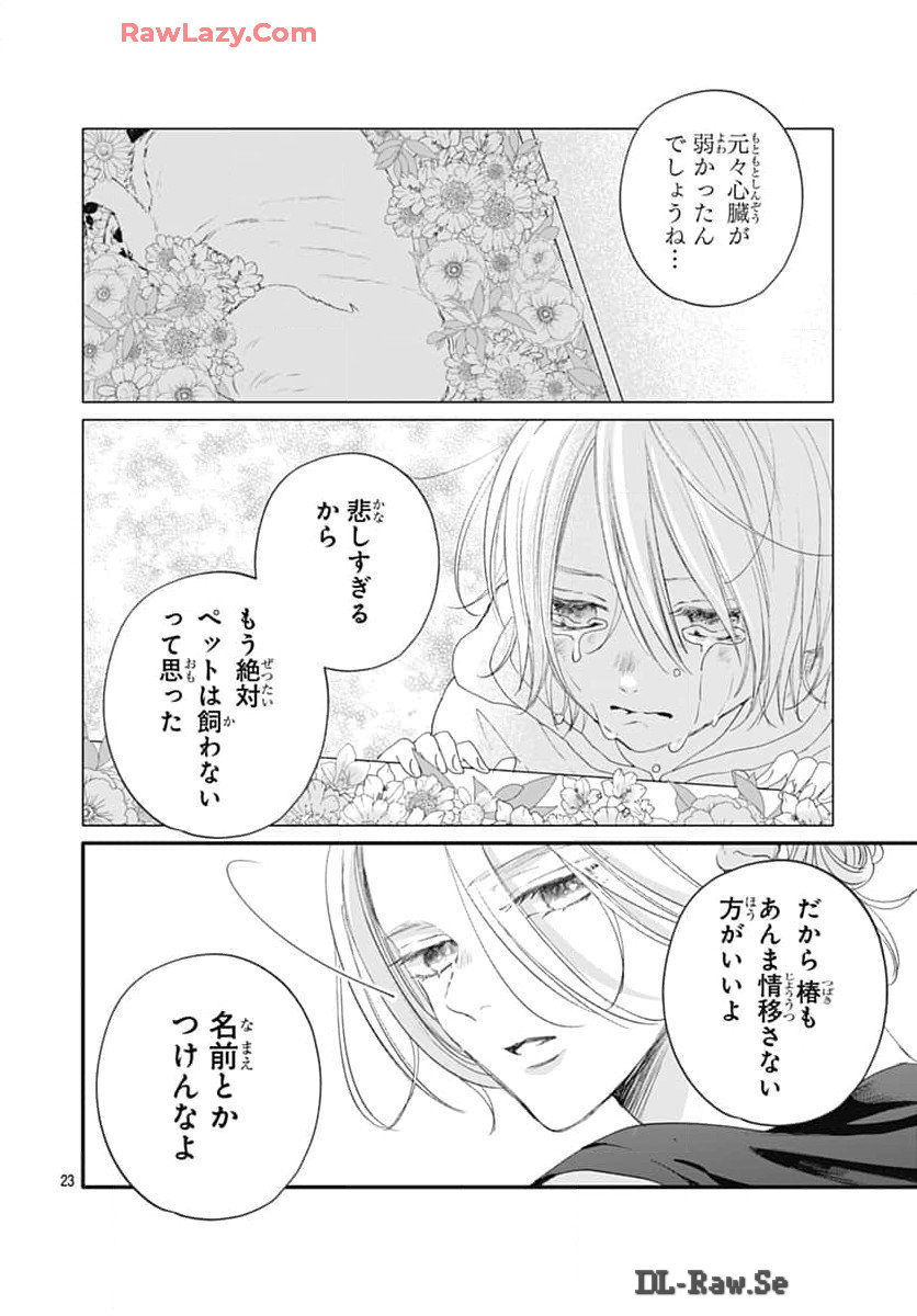 P23