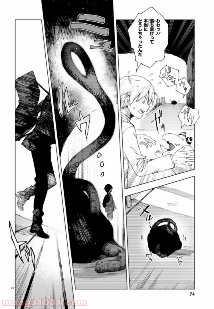 P24