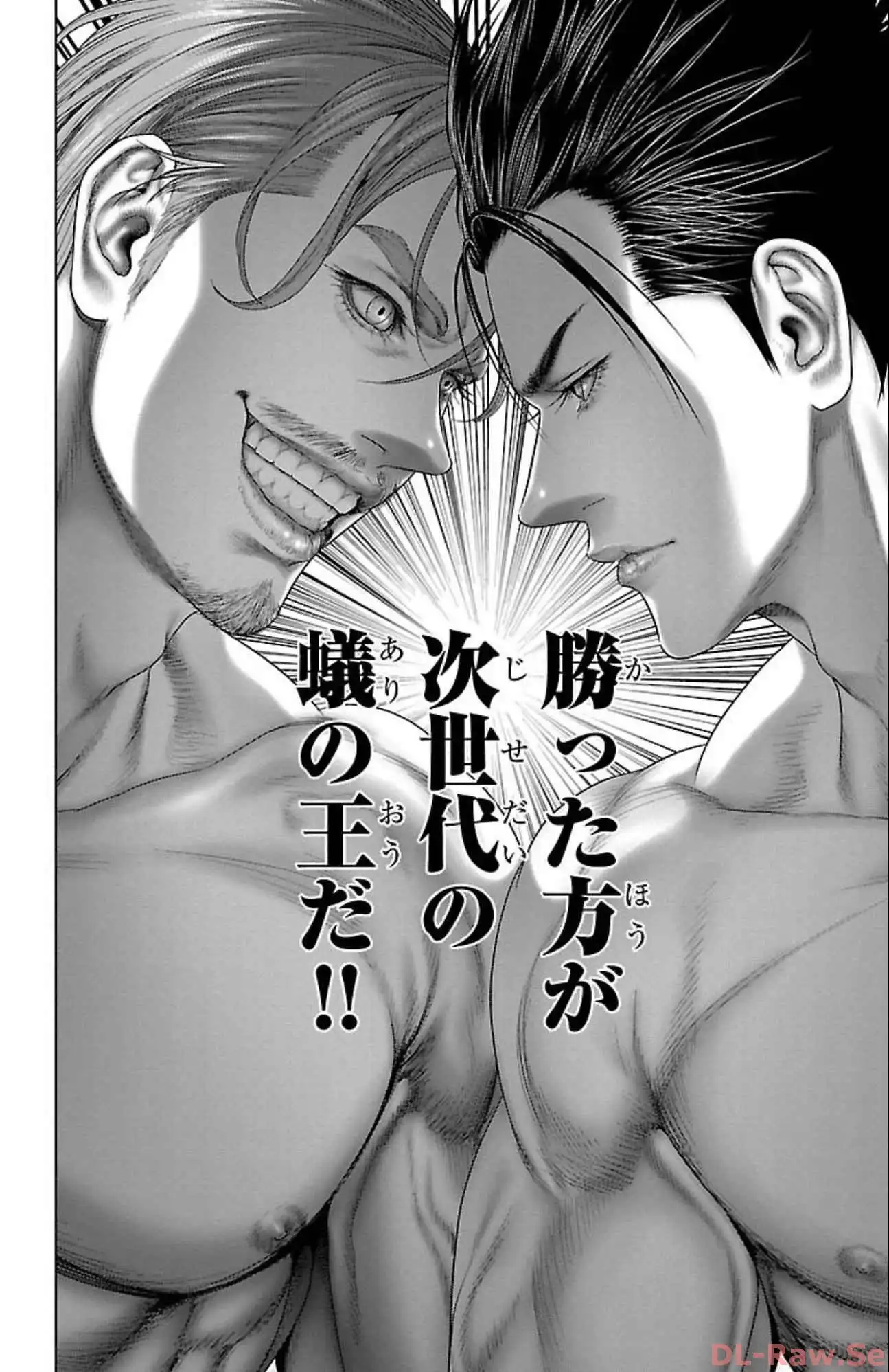 P46