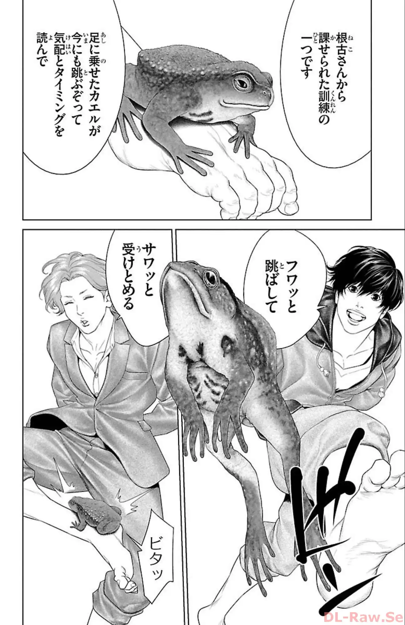 P8
