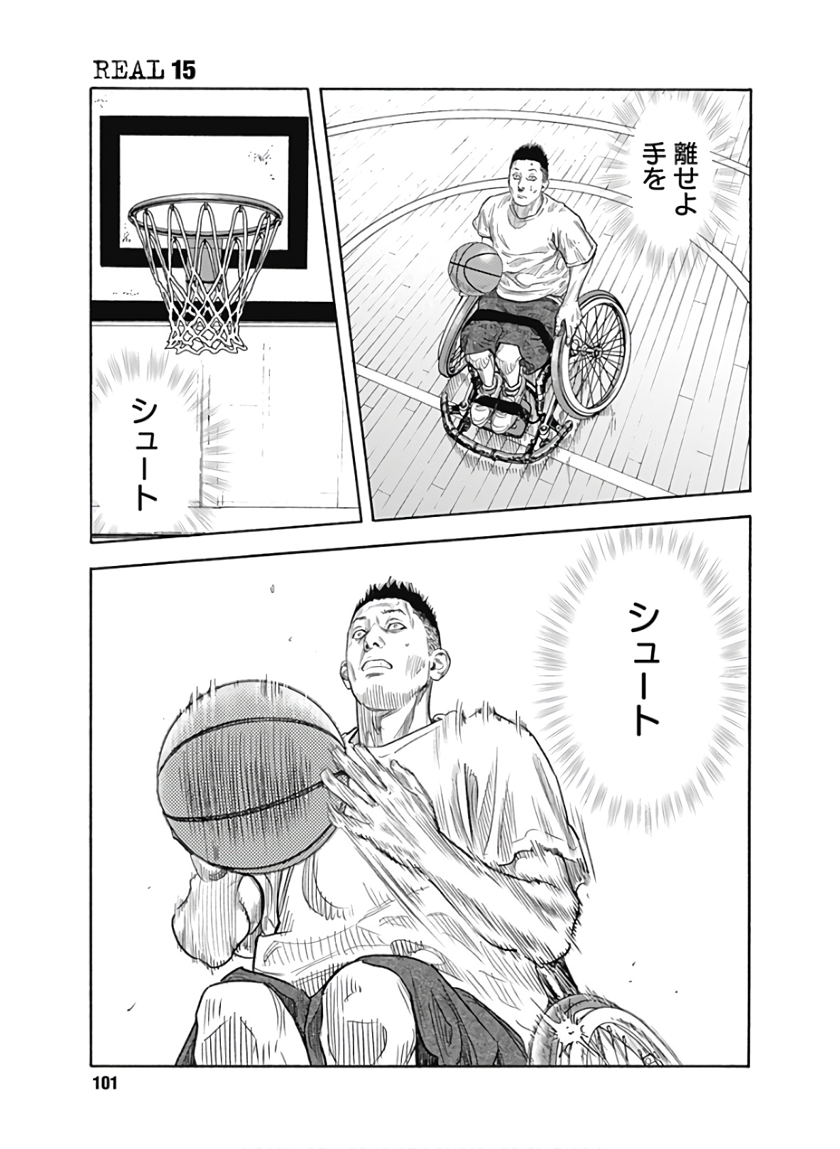 P31
