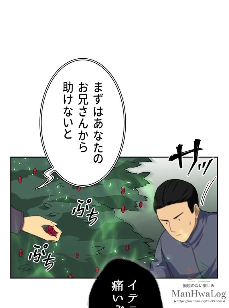 P66