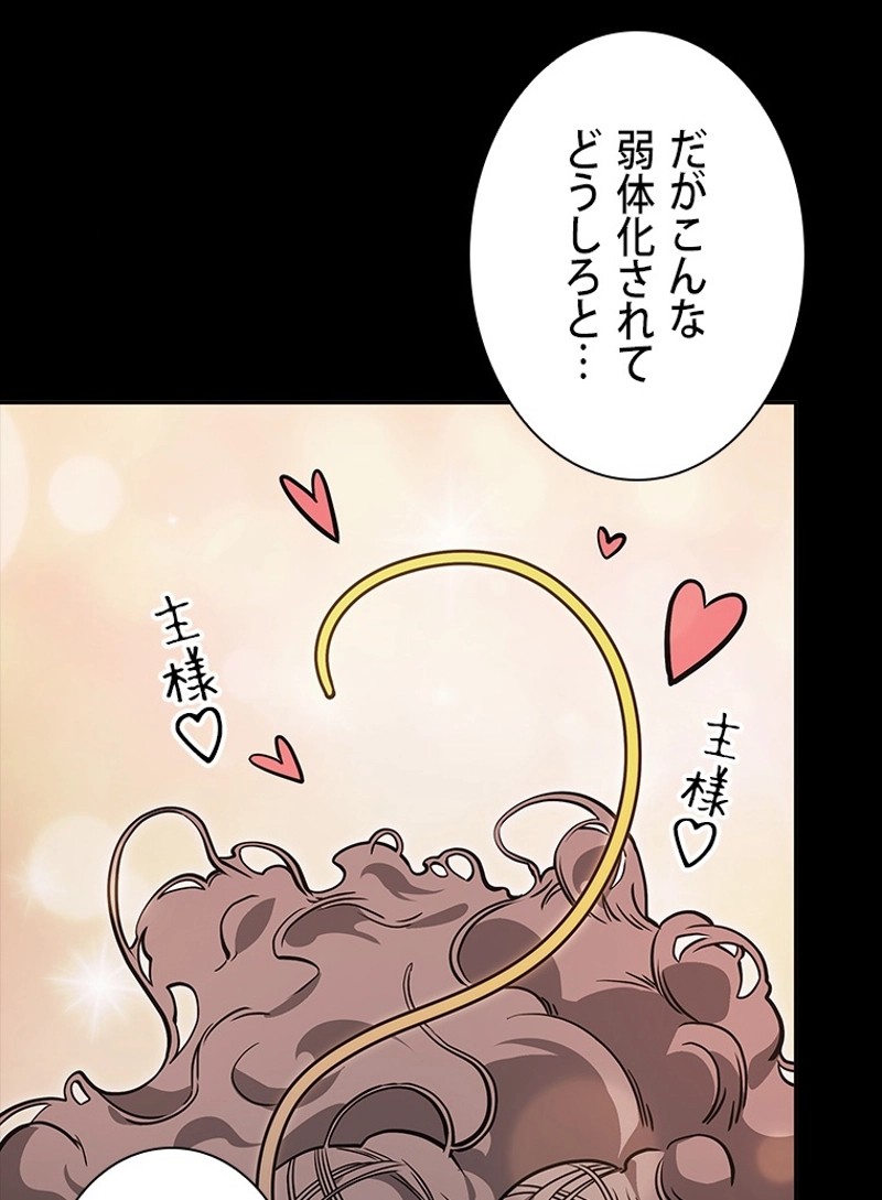 P66
