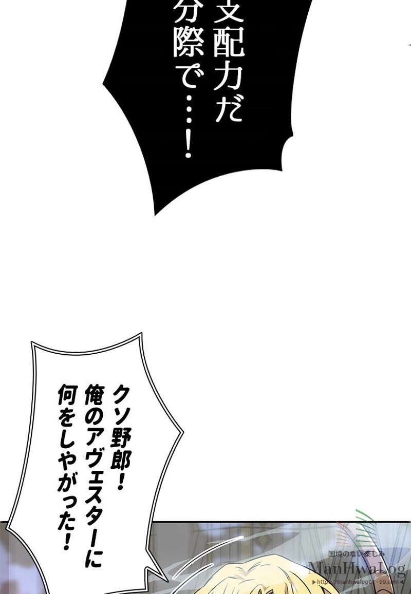 P53