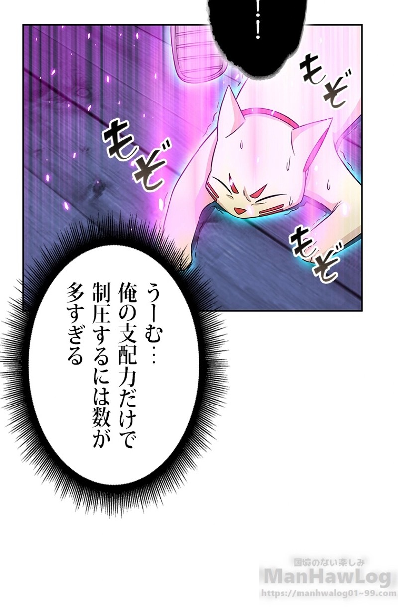 P64