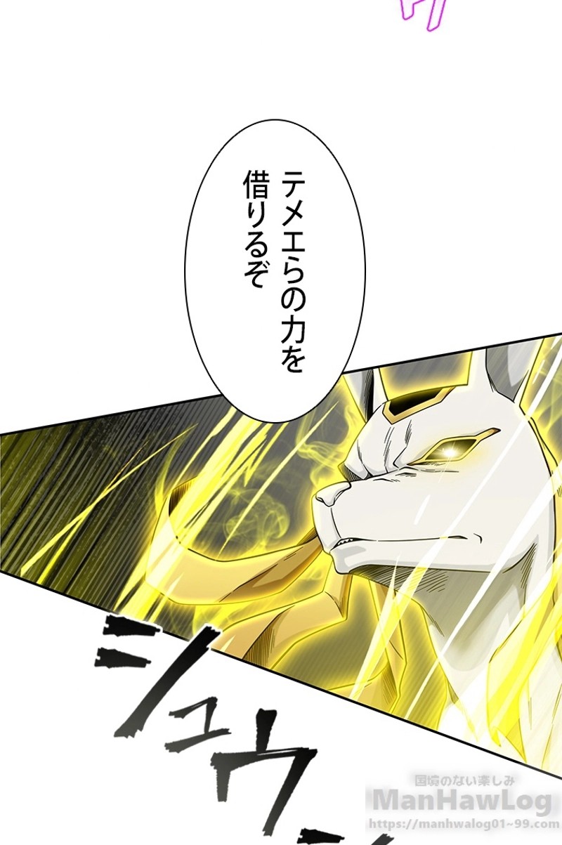 P66