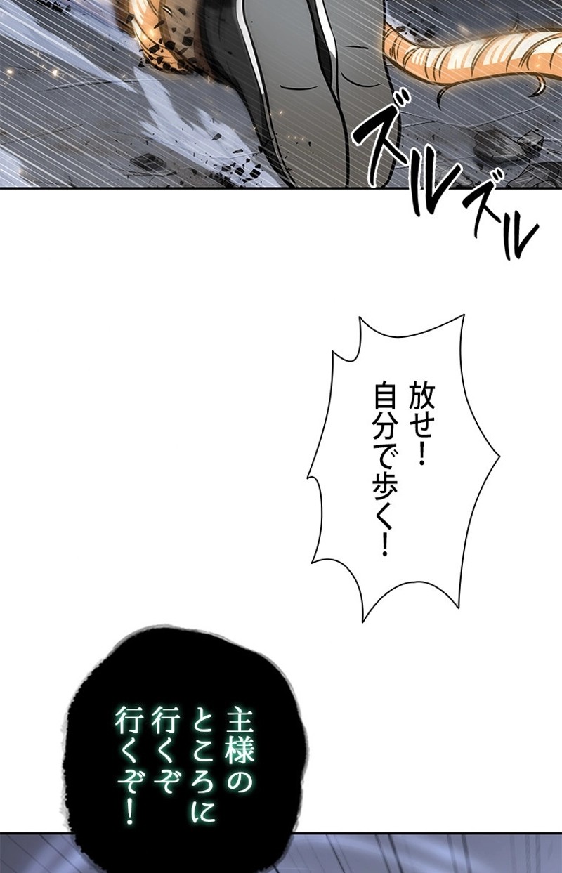 P81