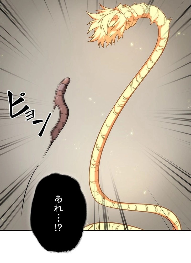 P44