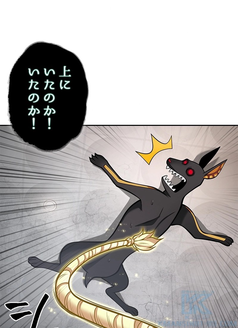P116