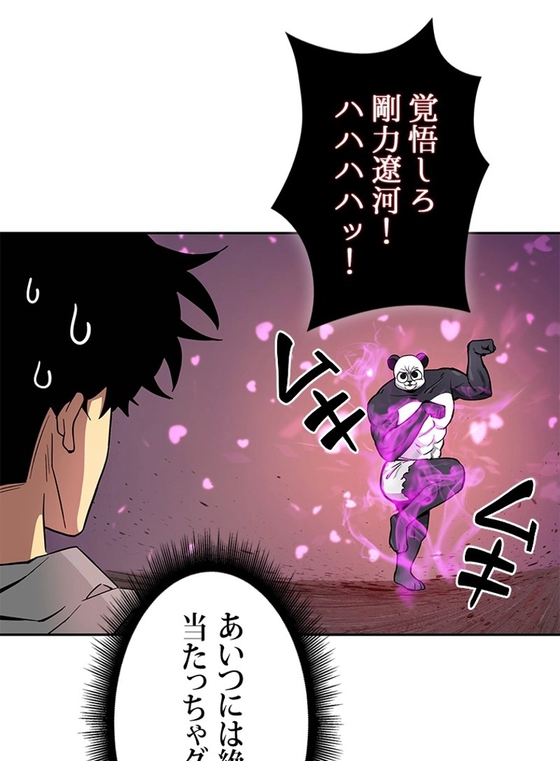 P48