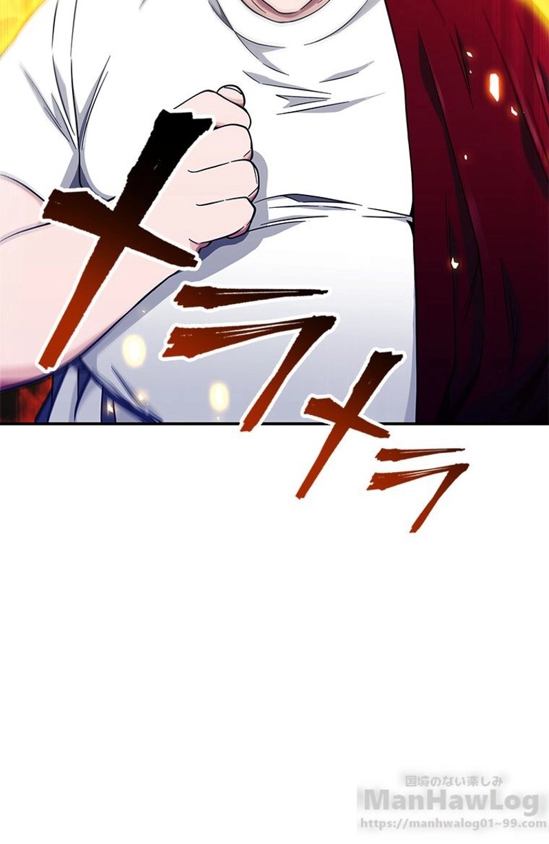 P66