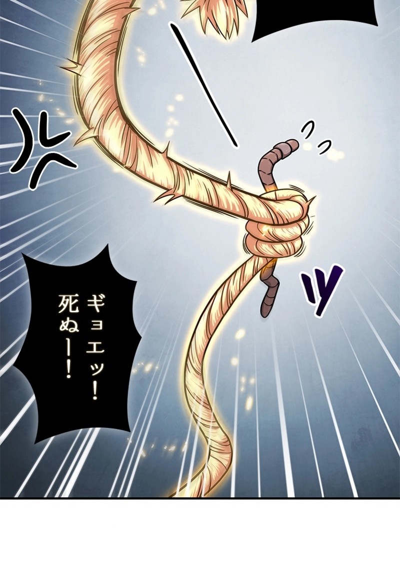 P54