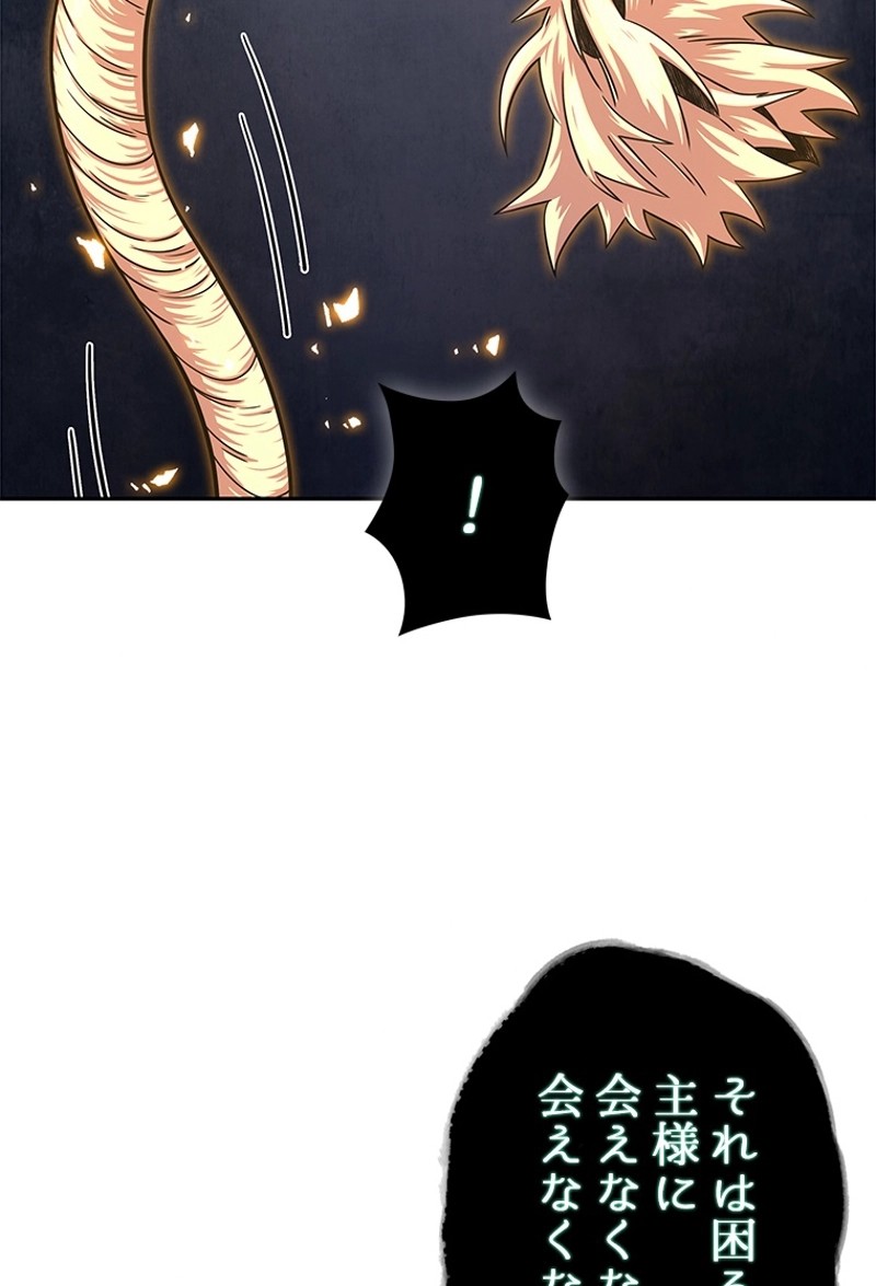 P58