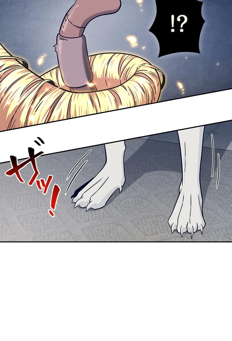 P61