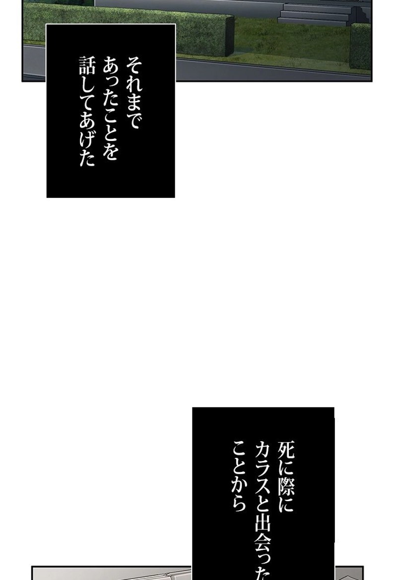 P66