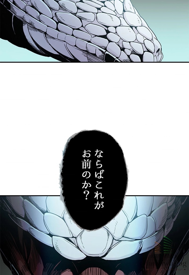 P62