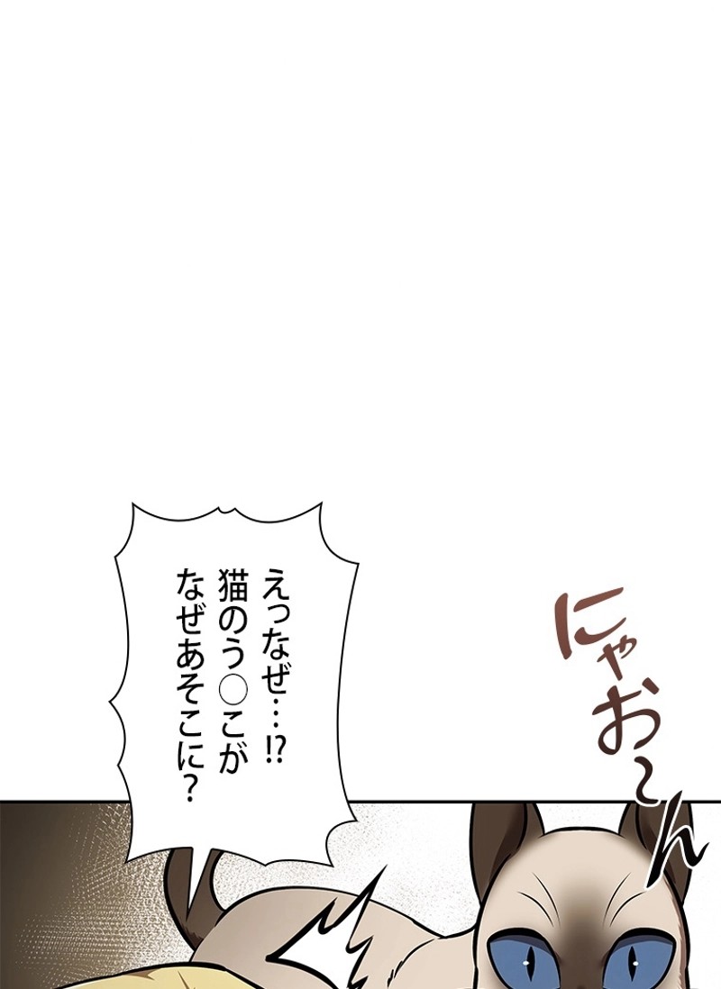P95