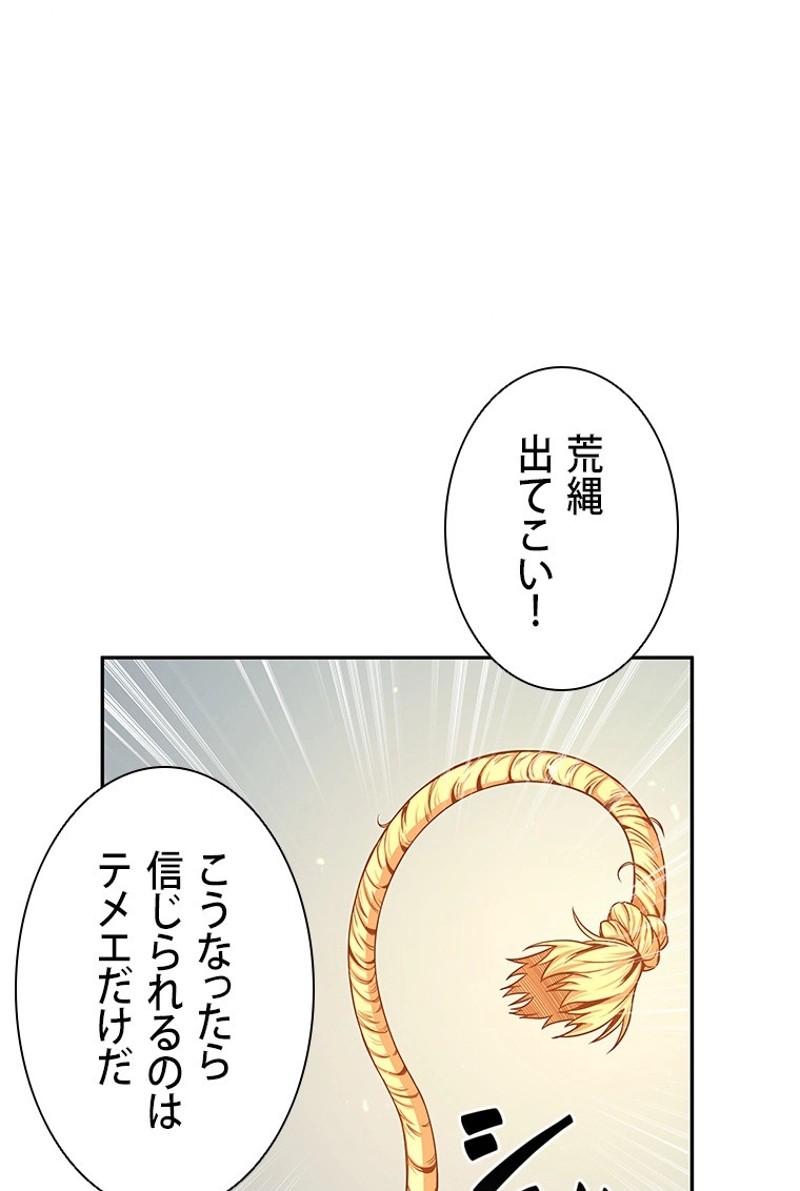 P66