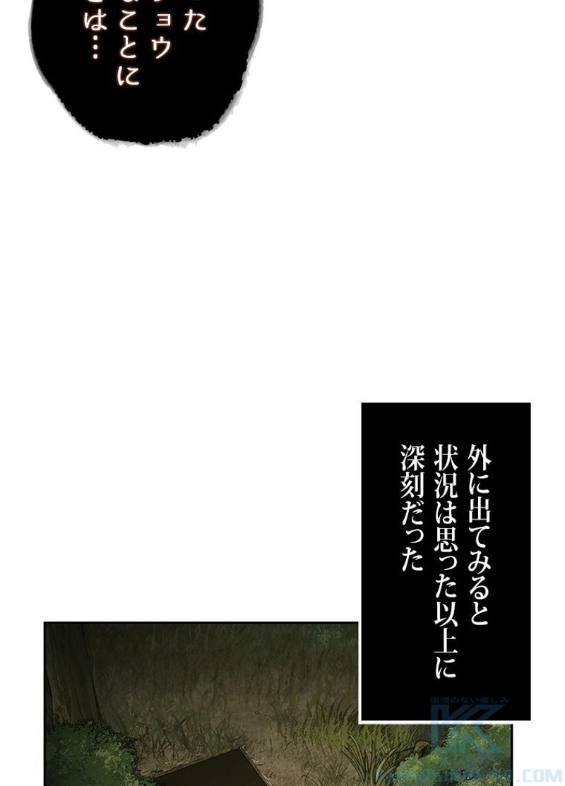 P61