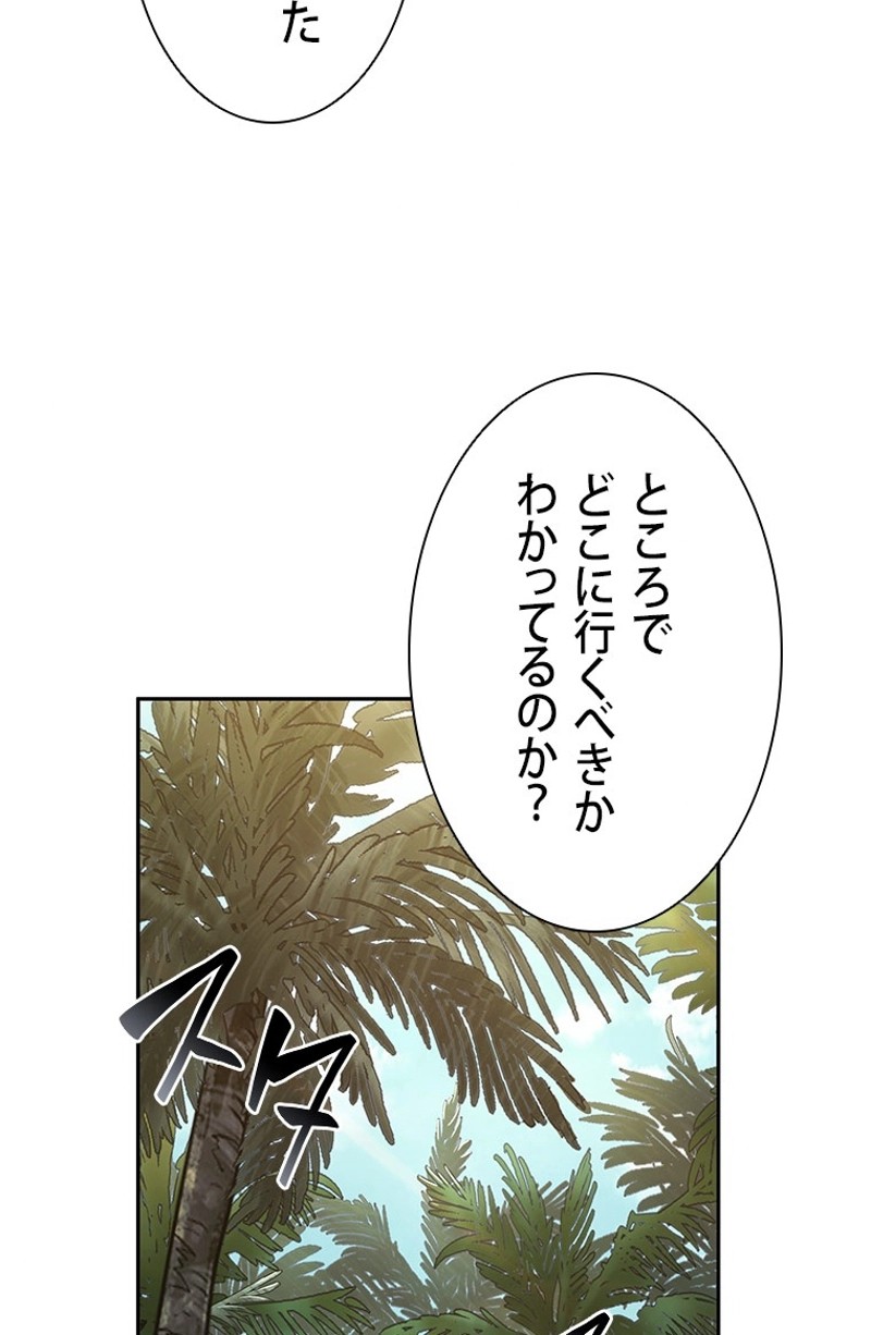 P61